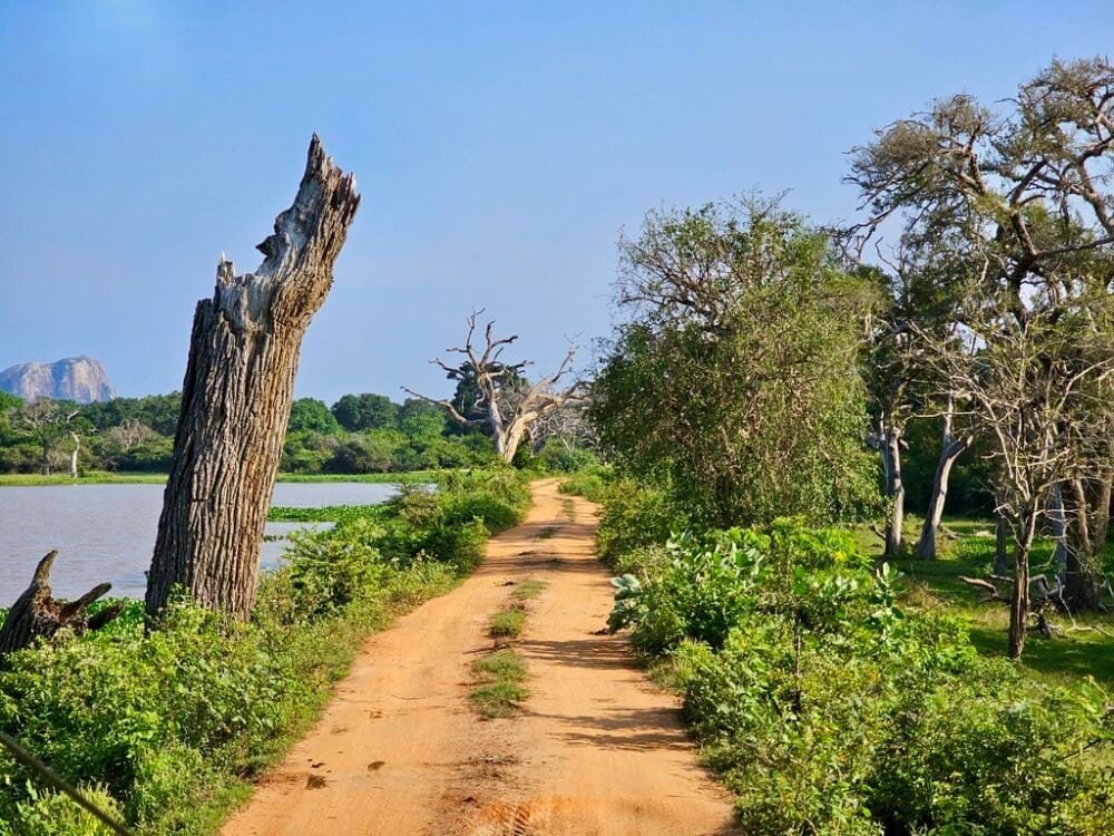 Šrilankas ceļojums - Safari