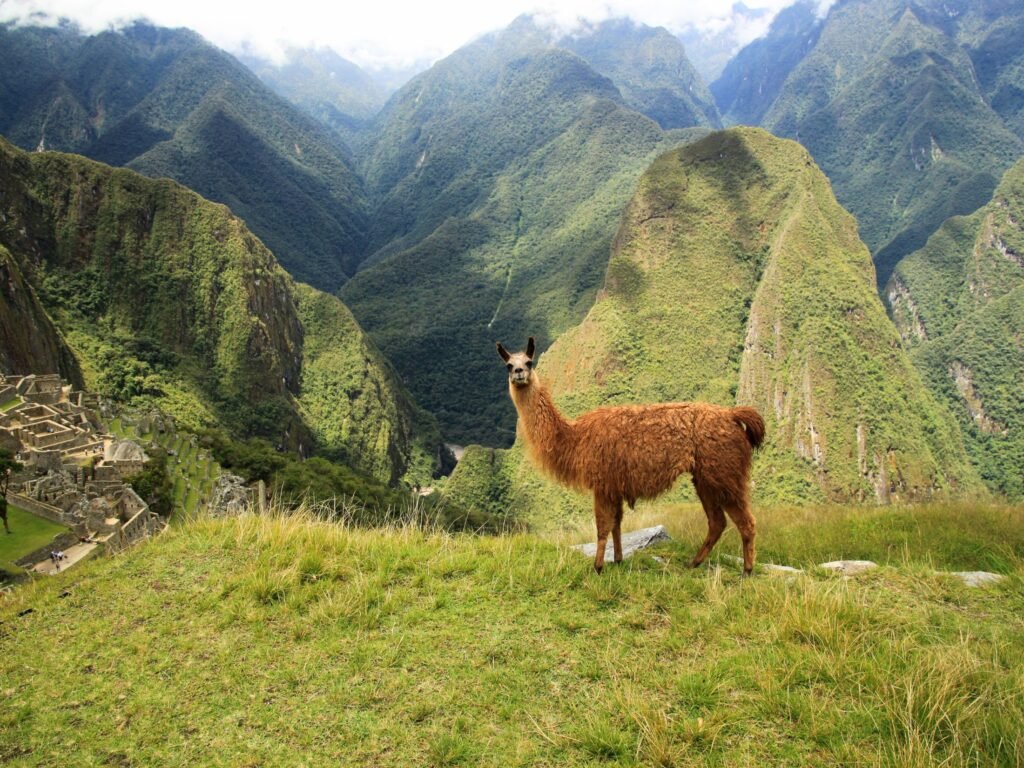 Peru